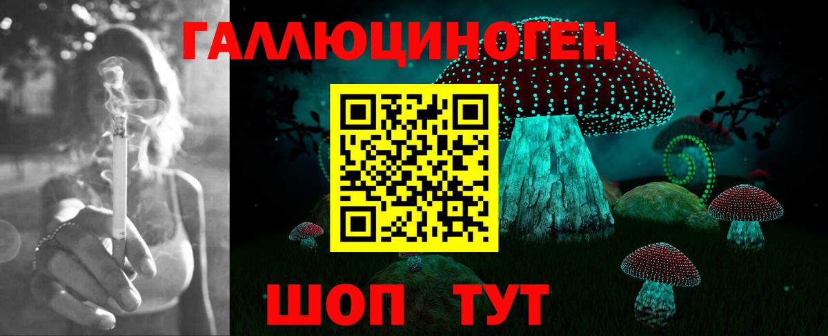 Псилоцибиновые грибы ЛСД  Вход с VPN  наркотики  Екатеринбург 